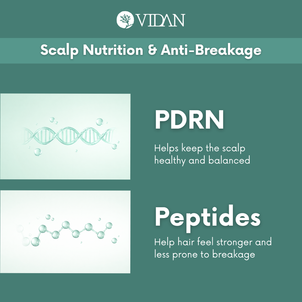 RE:ROOT PDRN Scalp Balancing Shampoo