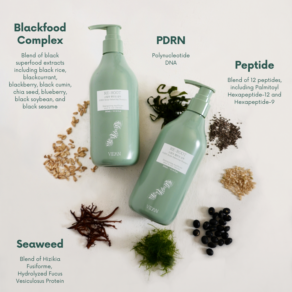 RE:ROOT PDRN Scalp Balancing Shampoo